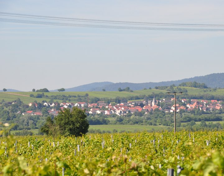 Amelie Landau Natur und Sport