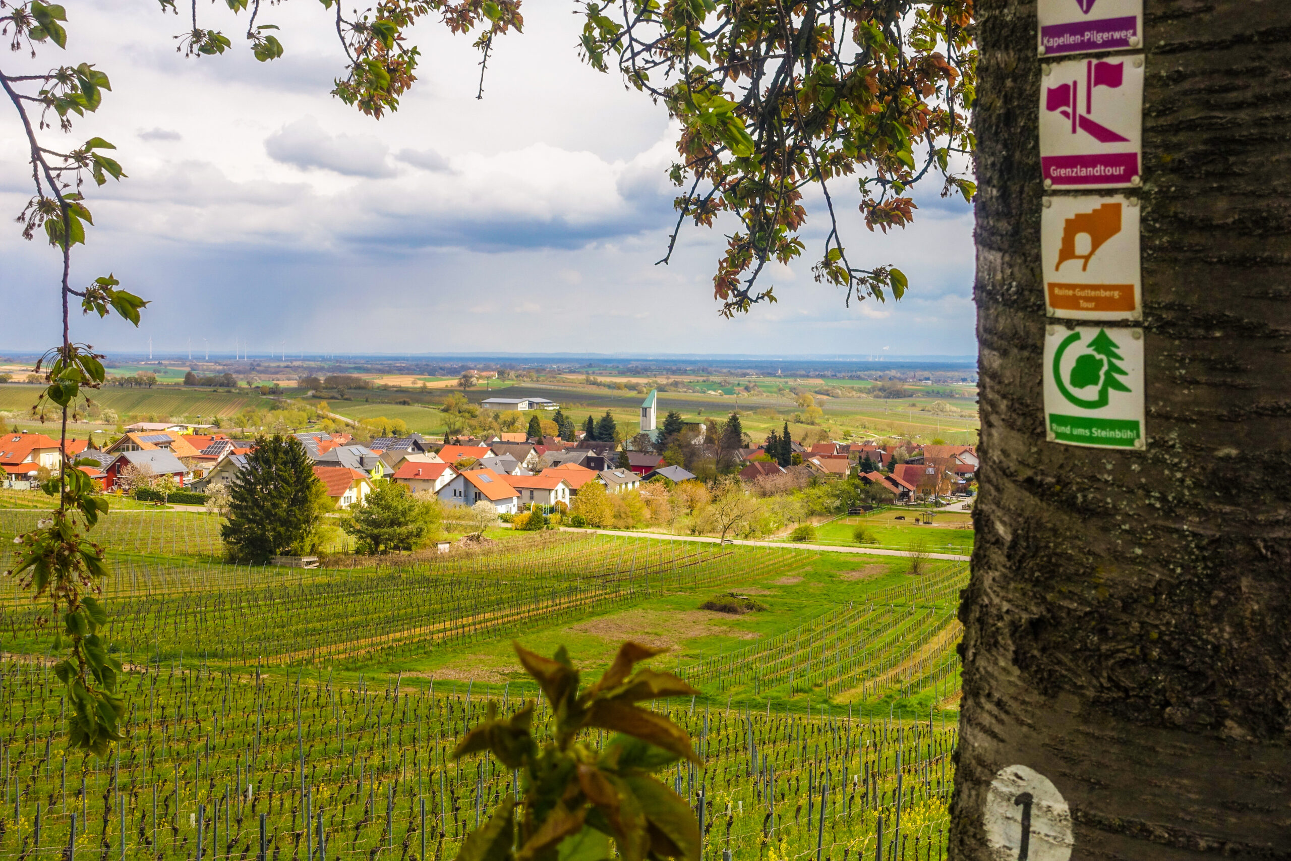 Natur und Sport in Schweigen-Rechtenbach